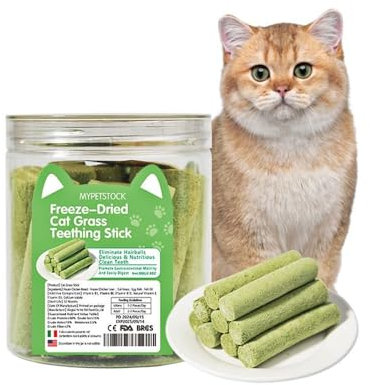 MYPETSTOCK: Natürliche Snacks für Katzen mit gefriergetrocknetem Katzengras – Leckere und ideale Zahnreinigungssnacks – Catnip, Cat Teeth Cleaning with Cat Grass: Natural Dental Care