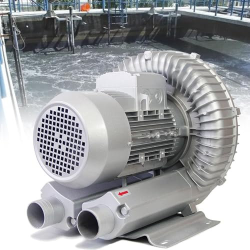 lwjunmm Bomba Soplante Monofásica,Bomba de Agua para Inyección de Aire,Bomba de Agua para Piscina,Jacuzzi,SPA,Remover Abono,Bomba de Aire,Bomba Sopladora,180W