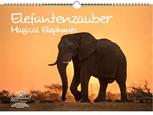 Elefantenzauber Immerwährender Kalender DIN A3 Elefanten - Seelenzauber