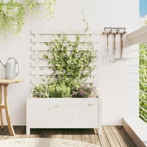 BaraSh Jardinière avec Support Blanc 79x39,5x114 cm Bois de pin Massif,Jardiniere sur Pieds,Bac avec Treillis,Jardiniere Terrasse
