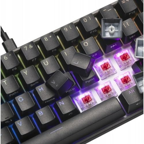 Mad Catz Mechanische Tastatur, KS63NMUSBL000-0, Schwarz, Mehrfarbig, Monochrom