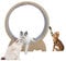 Katzenlaufrad laufrad für Katzen mit Verriegelungsmechanismus, Biss-/Kratzfest, Gleichmäßige Drehung, Katze Laufen Laufrad Katze Laufen Leise Katzen Laufrad, Katzenlaufrad für Große Katzen (Holz)