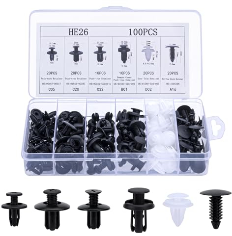 MumdoYAL Set di clip di fissaggio per auto, 6 diversi tipi di clip per rivestimento della porta e clip universali in plastica