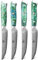 WILDMOK Coltelli da bistecca, set di 4 coltelli da bistecca non seghettati da 5 pollici, coltelli da bistecca in acciaio Damasco giapponese VG10, coltelli da bistecca Premium con confezione regalo