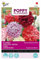 Buzzy Poppy Flowers Mohn Paeoniflorum Gef. Misch.
