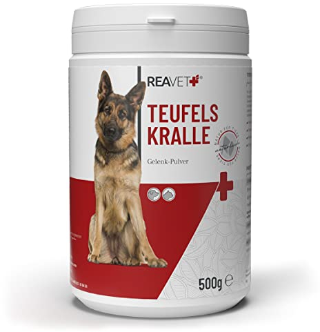 ReaVET Afrikanische Teufelskralle für Hunde & Katzen 500g - Teufelskrallen Pulver für Sehnen & Bänder, Gelenkpulver zur Unterstützung der Beweglichkeit & Gelenkfunktion
