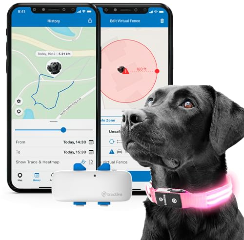 Tractive GPS Tracker für Hunde + LED-Halsband. Live-Ortung mit unbegrenzter Reichweite (Pink, L)
