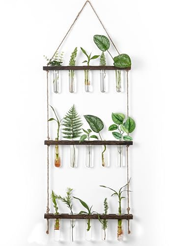 Winter Shore Vases Muraux pour Boutures Plantes - Terrarium Plante Suspendu à 3 Niveaux - Support Bouture en Bois & Verre avec Corde, 15 Mini Vase Tubes à Essai, Brosse de Nettoyage