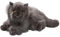 Carl Dick Katze, Perserkatze grau, Plüschtier, Kuscheltier ca. 30cm 3433