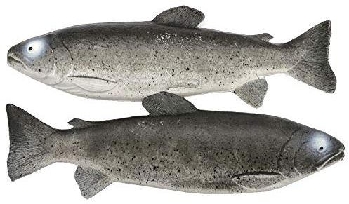 2 Deko-Forellen Attrappen aus Kunststoff Lebensmittelattrappe frischer Fisch Meeresfrüchte Fake
