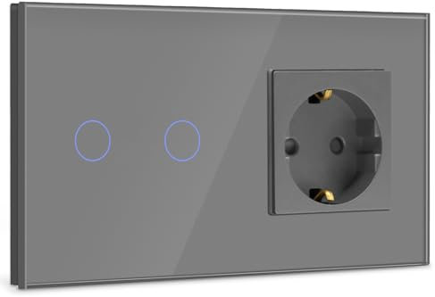 BSEED Interruptor con Enchufe,2 Gang 1 Vía Interruptor de Luz con Enchufe de pared,Gris Interruptor tactil de Luz pared con indicador LED,enchufes de extensión con panel de vidrio templado