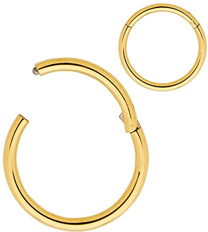 (1.0/8mm) Nasenring Hoop 316L Chirurgenstahl Knorpelohrring Septum Clicker Ring Edelstahl Klappbarer Segmentring Lippenring Conch Daith Helix Rook Tragus Lobe Snug Ear Body Piercing Schmuck