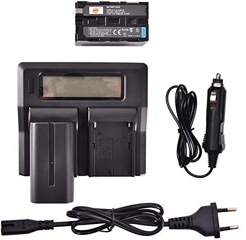 DSTE® 2-Pack NP-F770 NP-F750 Batterie + LCD Dual Chargeur Compatible pour Sony NP-F750,CCD-SC5,DCR-TRV820K,CCD-SC65,DCR-TRV9,CCD-TRV82,DCR-TRV900,CCD-TR3000,CCD-TRV85,DCR-VX200,CCD-TR3300
