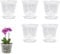 BestAlice Confezione da 5 vasi per orchidee, vasi per orchidee da 17,8 cm, con fori e piattini, in plastica trasparente, per piante e rinvaso, vasi da giardino per casa e ufficio