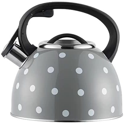 Tetera con infusor Hervidor de acero inoxidable para estufa de agua hirviendo 3L cocina estufa silbido tetera calentador de agua caldera tetera