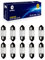 Lanuovx 10 Stück Soffittenlampe 24V 10W Sv8.5-8 T3.25 10x31mm Xenon-Licht Kennzeichenbeleuchtung, Innenraumlicht, Kofferraumlampe für PKW