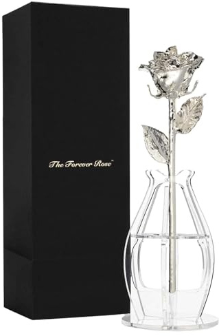 Forever Rose Echte Rose getaucht in Silber, handgefertigte konservierte Rose in Bloom Box und Phantomvase, romantisches Geschenk für sie, elegantes Andenken für Jahrestag, Geburtstag oder jeden