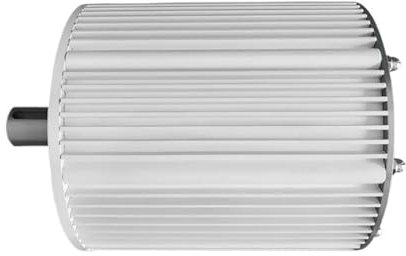 AMEHRU Generatore Eolico da 2kw 3kw 24V 48V 96V 110V 500 Giri/min DC Power Dinamo Magnetica Alternatore idroelettrico(48V,2000W)