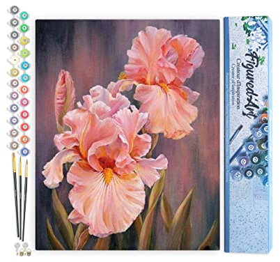 Figured'Art Peinture par Numéro Adulte Iris rosé - Activité Manuelle Kit de Loisir Créatif DIY Numéro d'Art Complet - 40x50cm sans châssis en bois