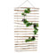 H4L Rankhilfe Haselnuss 50 oder 100cm x 200cm 100cm