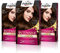 Palette Intensive Creme Color 3-65 Castaño Chocolate, tinte permanente con aceite de macadamia y almendras, cubre el 100% de las canas y raíces, para un pelo radiante, Pack 3