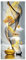 workid 3D Türtapete Türfolie selbstklebend TürPoster PVC Türaufkleber Fototapeten-Pflaumenhirsch 90x200