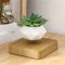 Schwebender magnetischer Bonsai-Topf, kreative schwebende Luftpflanze, Ornament mit Rotationsfunktion, für Zuhause, Schreibtisch-Dekoration