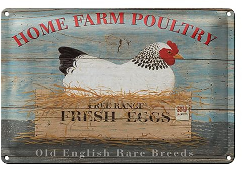 Home Farm Poultry | Vintage Blechschild | Fresh Eggs | 40 cm x 30 cm