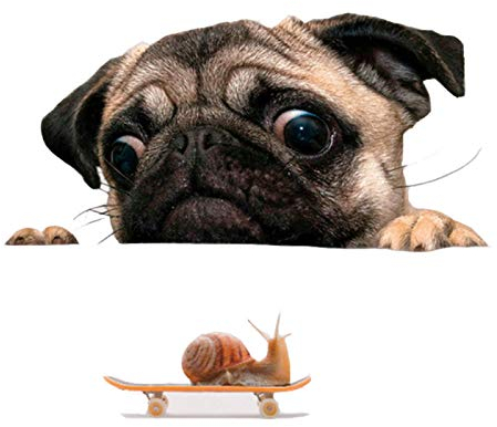 Auto-Aufkleber, lustig, süßer Mops, Hund, Schnecke, 3D-Aufkleber für Autofenster, Zuhause, Wandaufkleber, Dekoration
