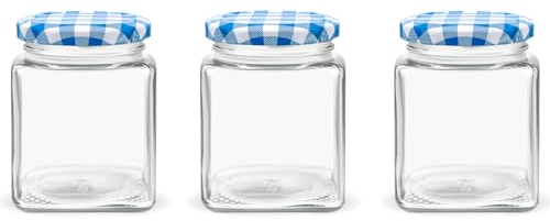 Danmu Art 280ml/9.5oz Glass Jam Jars with Red Gingham Lids,Storage Airtight Jars for Kitchen Jam Pickled Spices Honey Sweets (3)