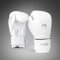 Venum Contender 1.5 Boxhandschuhe für Kinder - Weiß-Silber - 8 Oz