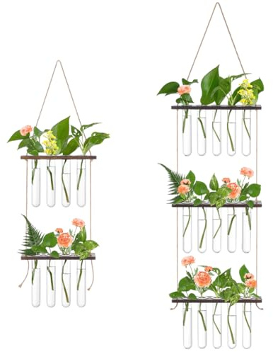 INTERWARM 2 Station de Propagation de Plantes Murale Terrarium à Un Étage avec Support en Bois Mini Vases à Fleurs en Forme de Tube à Essai pour Plantes Hydroponiques 23 Tube à Essai en Acrylique