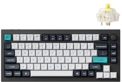 Keychron Q1 Max RGB QMK/VIA Custom Mechanical Keyboard, Hot-Swappable Full Metal Programmable Knob with Gateron Jupiter Red Switch, 2.4 GHz/Bluetooth/Wired Gaming Keyboard for Mac Windows Linux