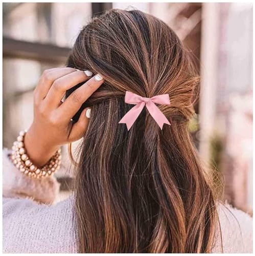 Aneneiceera Pince À Cheveux Vintage En Soie Noeud Rose Pince À Barrette Minuscule En Tulle Noeud Papillon Noeud Papillon Français Accessoires De Cheveux Papillon Pour Femmes Et Filles Cadeaux (rose)