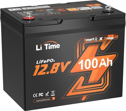 LiTime LiFePO4 12V 100Ah Gruppe 24 Bluetooth Lithium Batterie, 1280Wh, 100A BMS und Max. 15000 Zyklen, Mini-Größe Perfekter Ersatz für Blei-Säure für Wohnmobil, Solaranlage, Trolling-Motoren