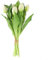 HEIBTENY Bouquet de tulipes artificielles avec 7 tulipes - Bouquet de tulipes artificielles - Décoration de mariage (blanc)