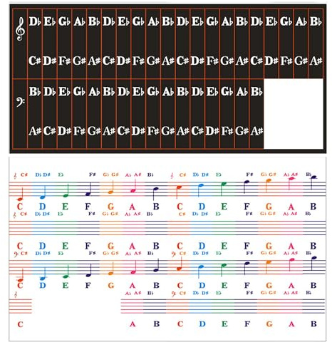 BondEron Klavier Keyboard Noten Aufkleber für 54 61 76 88 Tasten, Abnehmbar Vollfarbe für Weiße Schwarze Tasten, Piano Sticker Keyboard Aufkleber