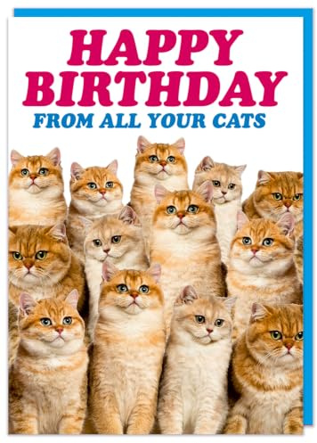 Dean Morris Cards Funny Birthday Card - Cat Lover - Friends Birthday - Humour - Happy Birthday from all your Cats