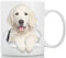 Winston & Bear Taza de Cafe Perro Golden Retriever Hermoso - Ideal para Regalos Divertidos y Personalizados de Cumpleaños - Tazas Originales Baratas para Desayuno y Merienda