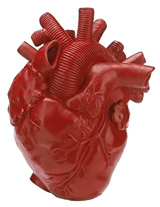 NLDGR Herzvase, anatomische Herzvase, kreativer herzförmiger Blumentopf aus Kunstharz, herzförmige Vasen für Blumen, Blumenvase für Heimdekoration