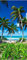 wandmotiv24 Türtapete Palmen an einem tropischen Strand 90 x 200cm (B x H) - Dekorfolie selbstklebend Sticker für Türen, Türfolie, Aufkleber, M0914