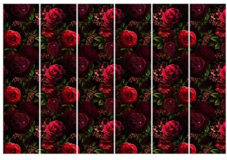 Bilderwelten Schiebegardinen Set Rote Rosen vor Schwarz 6 Flächenvorhänge 250 x 360cm Deckenhalterung