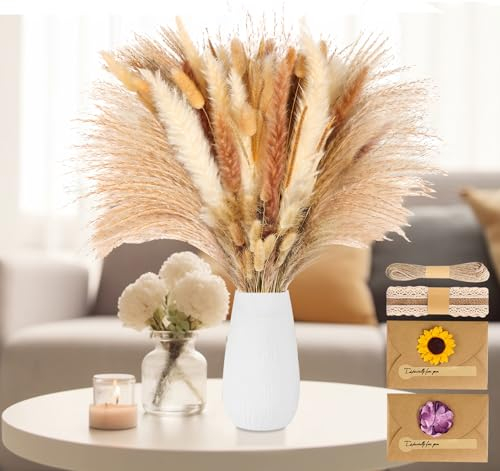 absolove 120 Stück Getrocknetes Pampasgras Bouquet,Neue Natürliche Trockenblumen-Dekorationen,Boho Trockenblumen Pampasgras mit Briefumschläge,Band,Jute-Schnur,Boho-Tischdeko für Hochzeiten,Partys