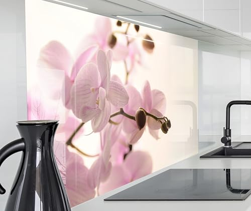 timalo Spritzschutz Wand für Herd, Küche Küchenrückwand Glasoptik | Acryl Glas 2mm | Glasrückwand Acrylglas Wandpaneele Rückwandschutz Platte | 160x50cm Orchideen