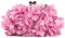 Milya Damen Clutch Blumen Elegante Brauttasche Hochzeit Party Kleidertasche Abendtasche Handtasche mit Kette Kiss Lock, Pink