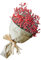 Heidekraut Trockenblumen Home Decor Natürliche Trockenblumen voller Sterne Gypsophila Kleine Sukkulenten (E, One Size)