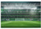 Stadium Football Satdium Field Light Night Printed Picture Personalized Wooden Puzzle 1000 Piece,Interesting Jigsaw Puzzles for Adults and Families Kids, Landscape Animal Puzzle