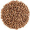 Coriander Seed Organic Gourmet Quality - Cilantro Seeds for Elevating Dishes 200g