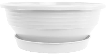 Plastard Pflanzschale Durchmesser 25 cm mit Untersetzer Farbe Weiß runde Blumenschale Schale Blumenkübel Gartenschale Wasserschale aus Kunststoff witterungsbeständig für Innen und Außen