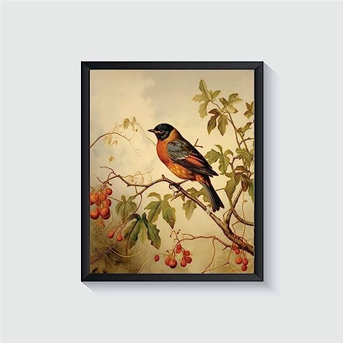 Rotkehlchen-Poster-Kunstdruck, Retro-Vintage-Vogel-Wandkunst, Vogel-Thema, Vintage-inspiriertes Vogel-Dekor (Rotkehlchen, 27,9 x 35,6 cm, ungerahmt)